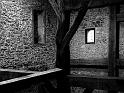 Luz en la memoria-041